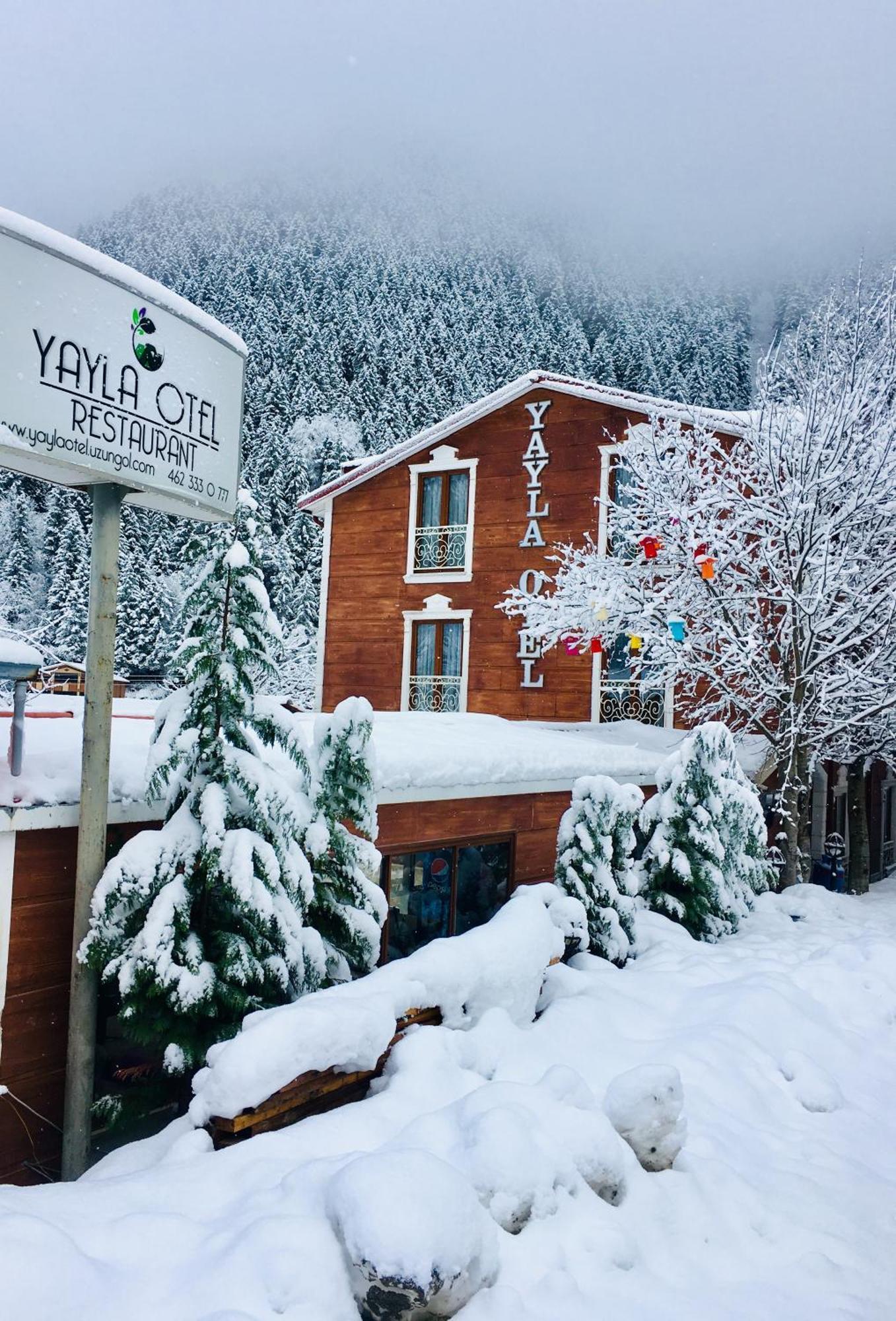 Uzungol Yayla Hotel Exteriör bild