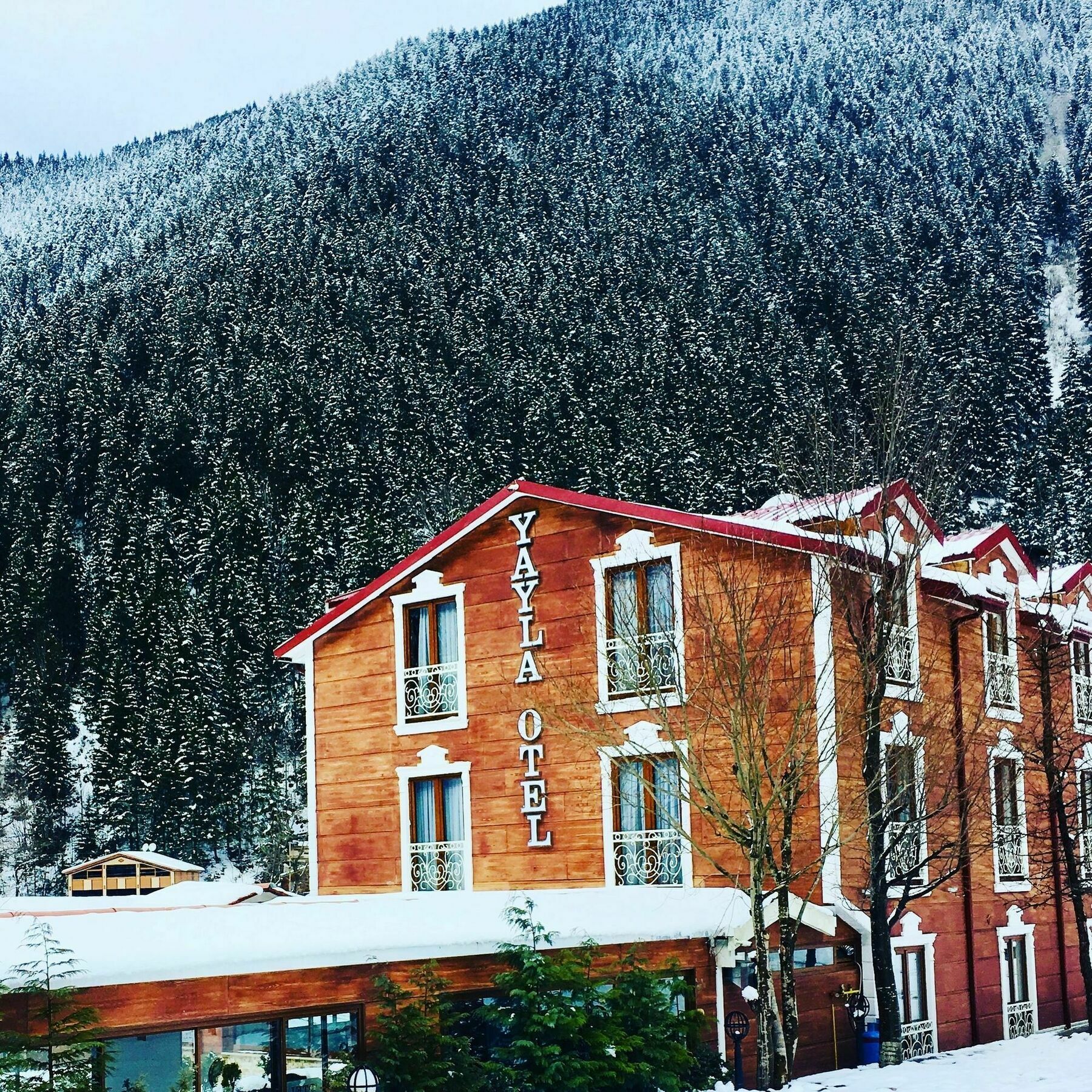 Uzungol Yayla Hotel Exteriör bild